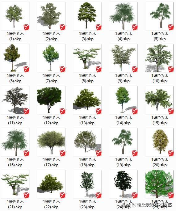 常用精致园林景观植物模型库（计800），设计素材，经典资料分享