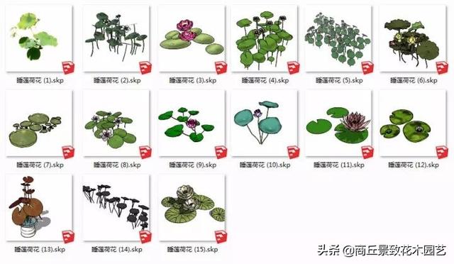常用精致园林景观植物模型库（计800），设计素材，经典资料分享