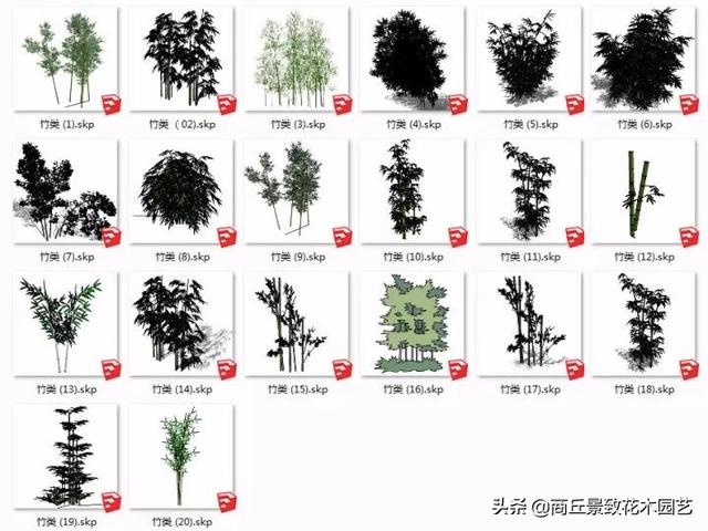 常用精致园林景观植物模型库（计800），设计素材，经典资料分享