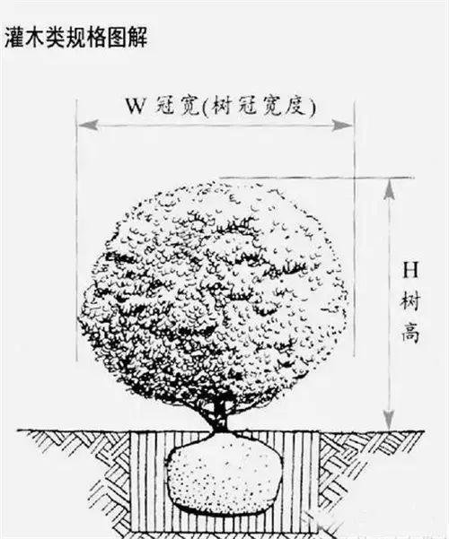 83个常见园林专业术语