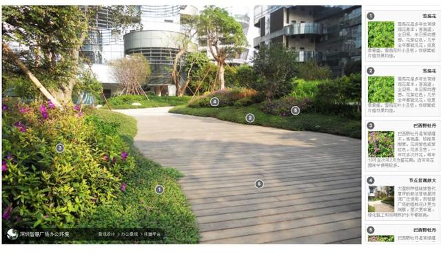 园林植物配置经典分析宝典,全实景,植物品种有备注,值得收藏