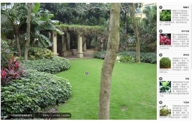 园林植物配置经典分析宝典,全实景,植物品种有备注,值得收藏