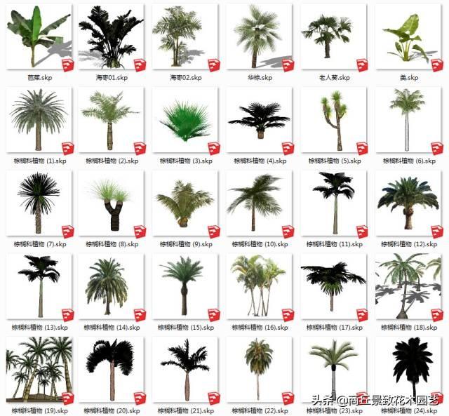 常用精致园林景观植物模型库（计800），设计素材，经典资料分享