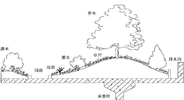 屋顶花园必须要知道的设计规范及植物配置,收藏版