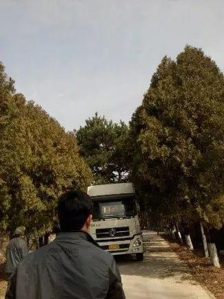 这样干永远管不了人,20年园林施工管理经验的经理总结17条金律