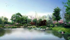 园林景观中植物施工图怎样进行规划设计？-灵感屋