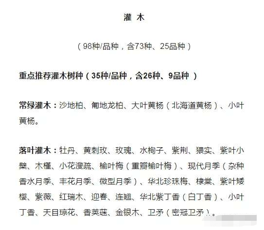 图片[3]-苗木商请注意了，雄安新区重点应用树种曝光！-灵感屋