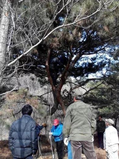这样干永远管不了人,20年园林施工管理经验的经理总结17条金律