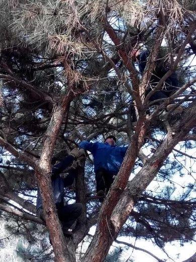 这样干永远管不了人,20年园林施工管理经验的经理总结17条金律