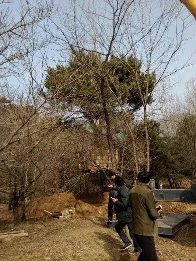 这样干永远管不了人,20年园林施工管理经验的经理总结17条金律