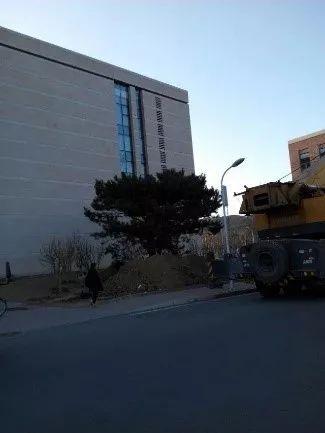 这样干永远管不了人,20年园林施工管理经验的经理总结17条金律