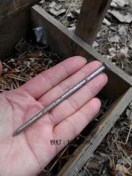 这样干永远管不了人,20年园林施工管理经验的经理总结17条金律