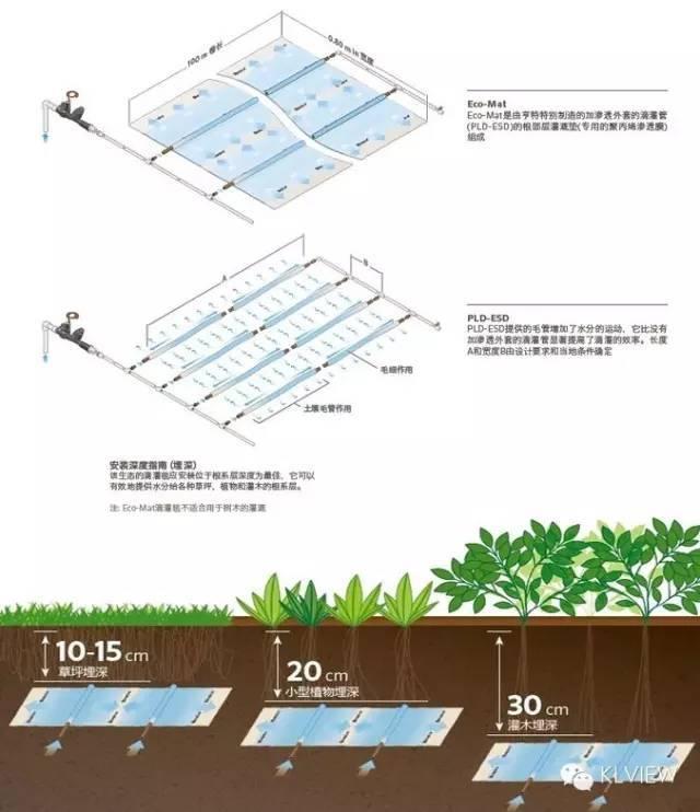 屋顶花园必须要知道的设计规范及植物配置,收藏版