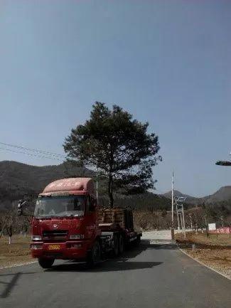 这样干永远管不了人,20年园林施工管理经验的经理总结17条金律