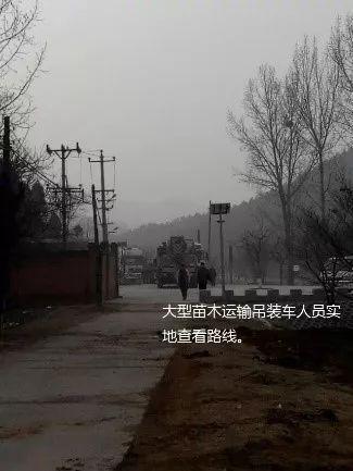 这样干永远管不了人,20年园林施工管理经验的经理总结17条金律