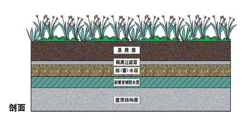 屋顶花园必须要知道的设计规范及植物配置,收藏版