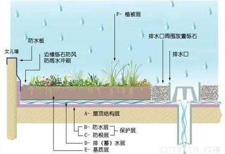 屋顶花园必须要知道的设计规范及植物配置,收藏版
