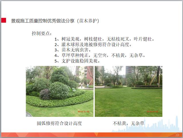 园林景观工程施工管理培训(图文并茂)