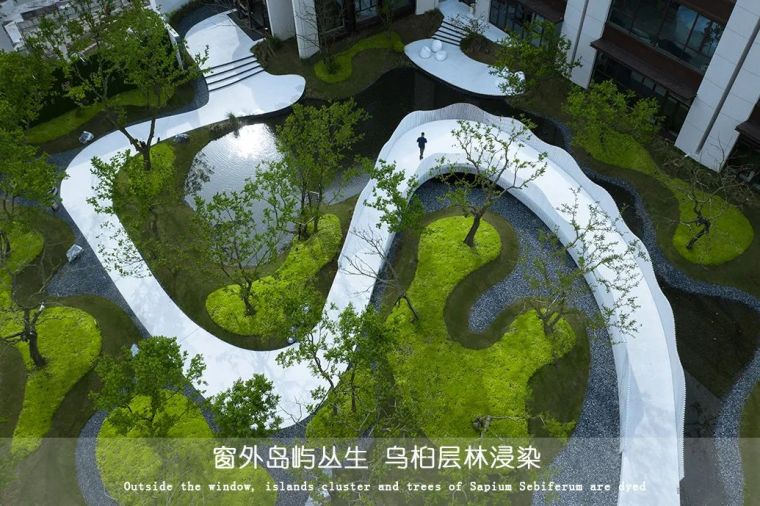 用心的植物搭配,超A!_4