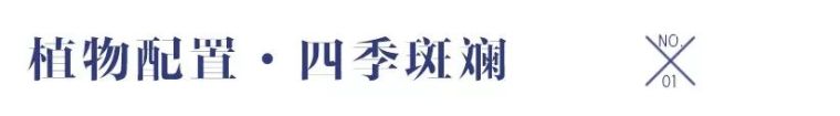 用心的植物搭配,超A!_34