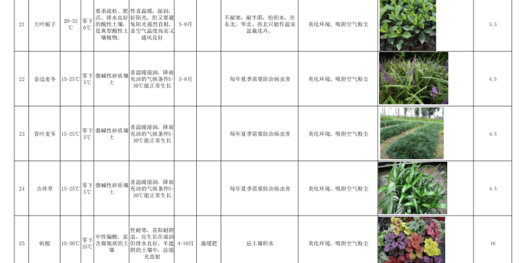 华中地区立体绿化垂直绿化植物苗木表_3