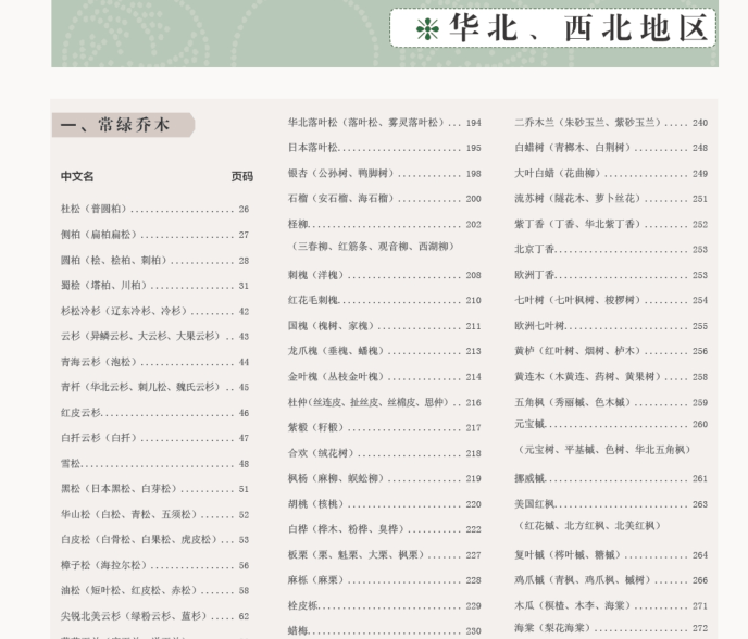 4-华北、西北地区常绿乔木