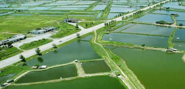 水产基地效果图