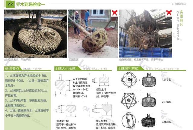 知名企业标准化 土建 植物 水电