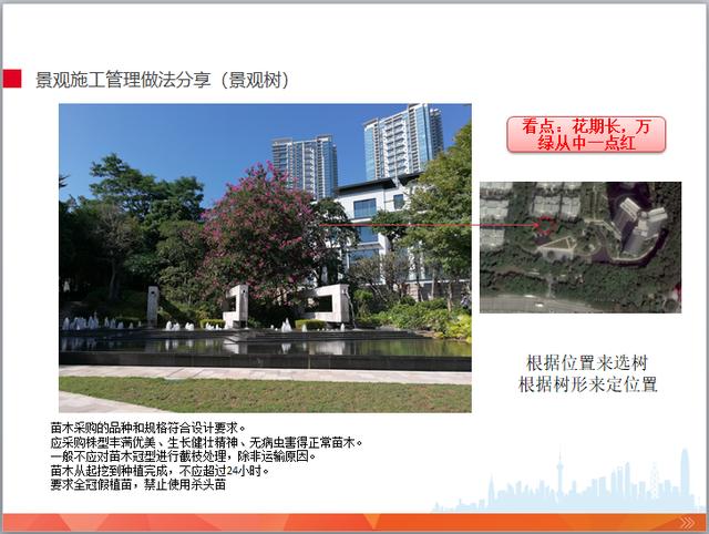 园林景观工程施工管理培训(图文并茂)