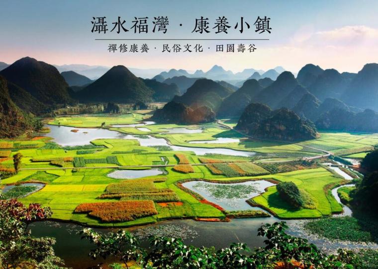 [湖北]郊野公园型康养文旅小镇规划设计-效果图4