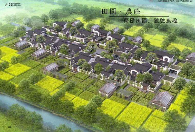 [湖北]郊野公园型康养文旅小镇规划设计-效果图2