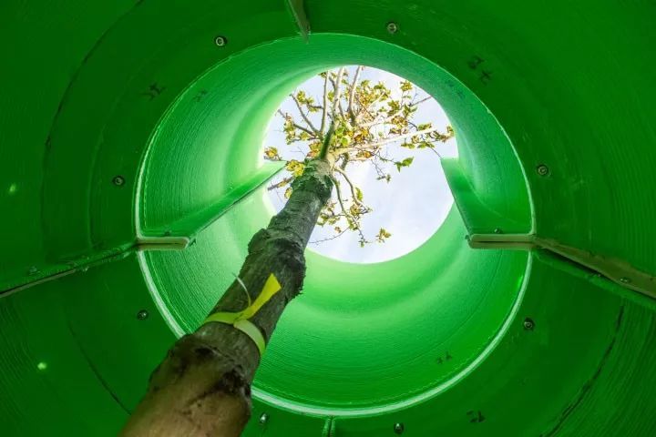 花式种植池,才不是配角!_71 花式种植池,才不是配角!_71