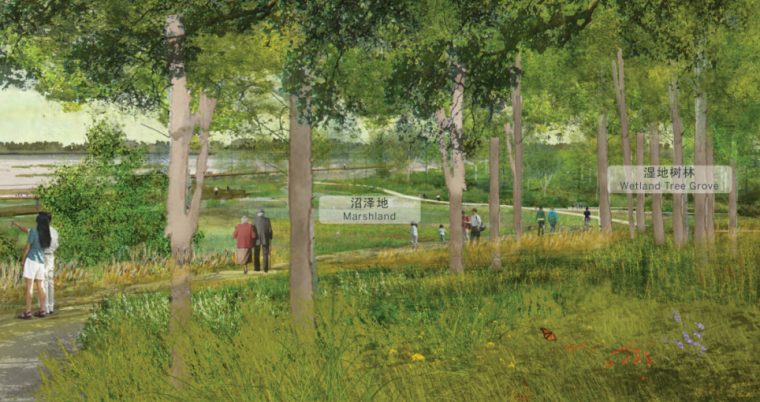 [山东]济南黄河公园景观设计方案－SOM-黄河湿地公园效果图