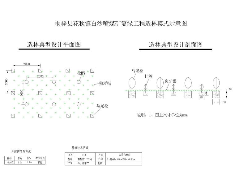 [四川]某矿山复绿改造景观施工图-花秋白沙嘴煤矿复绿工程造林模式示意图