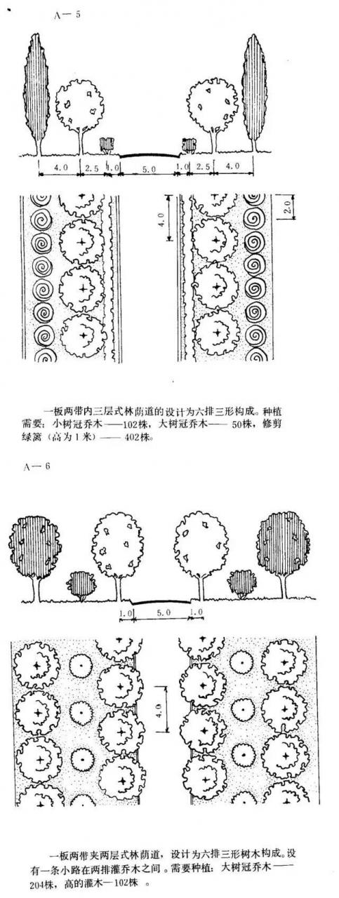 如何设计最美的林荫大道？_6