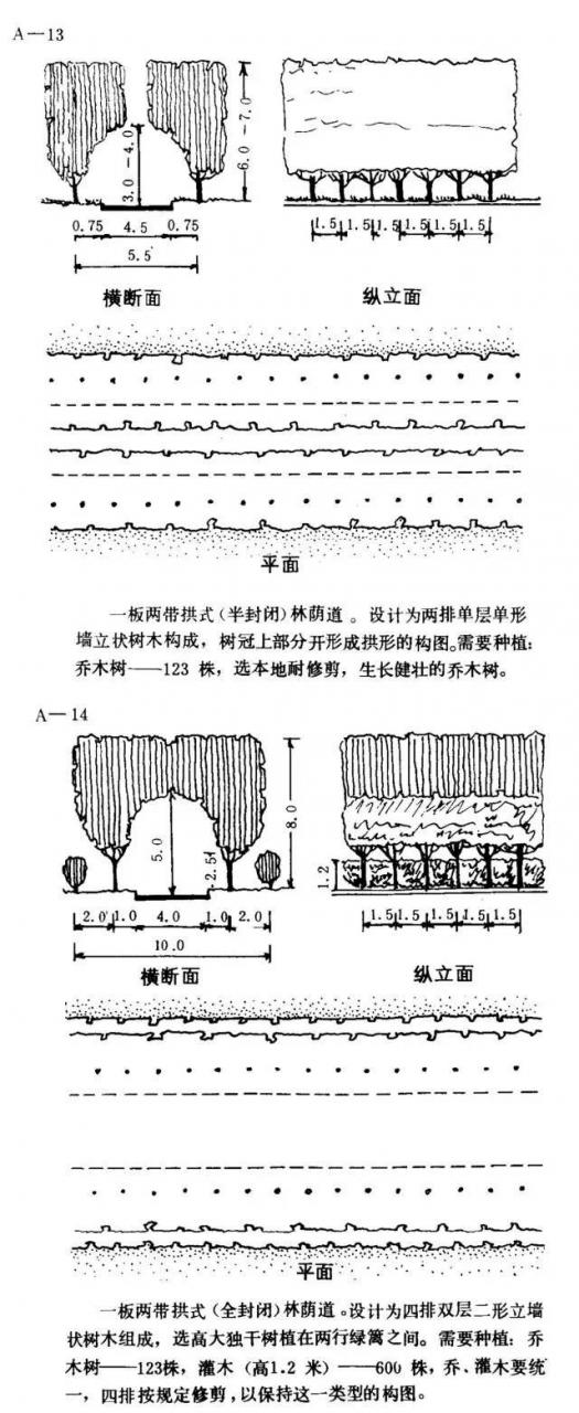 如何设计最美的林荫大道？_10