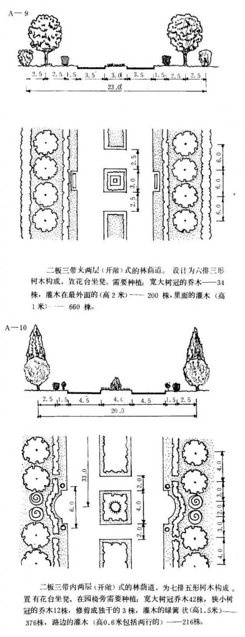 如何设计最美的林荫大道？_8