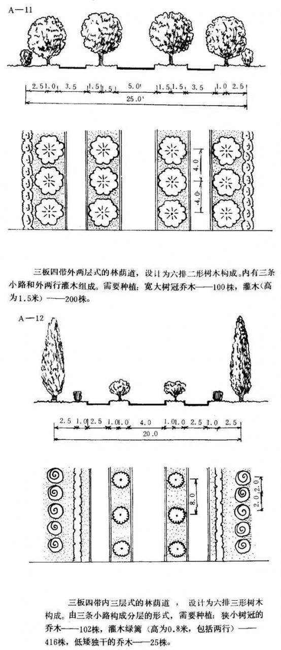 如何设计最美的林荫大道？_9