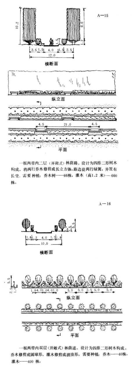 如何设计最美的林荫大道？_11