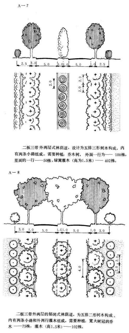 如何设计最美的林荫大道？_7