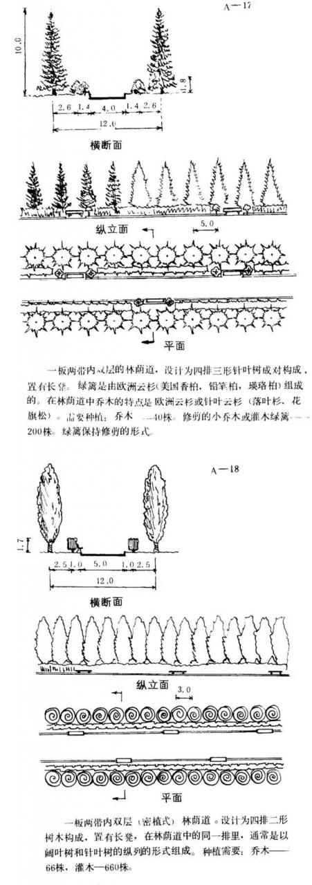 如何设计最美的林荫大道？_12