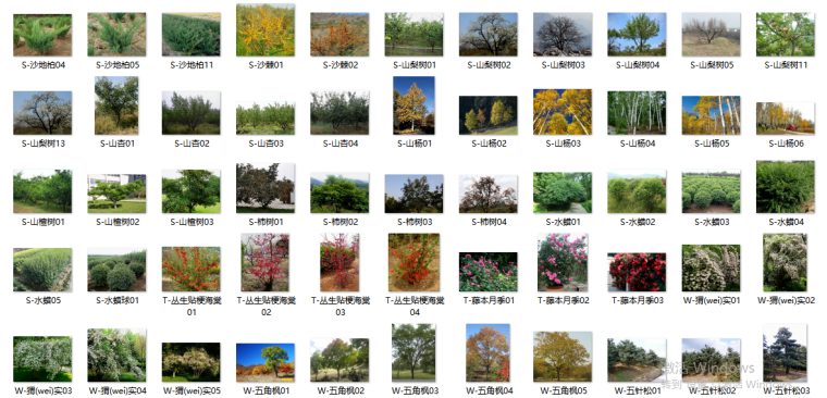 最全苗木表植物品种、苗木选型、苗木表图库-III区苗木选型标准图(沈阳、大连、北京、天津、天水)(3) 最全苗木表植物品种、苗木选型、苗木表图库-III区苗木选型标准图(沈阳、大连、北京、天津、天水)(3)