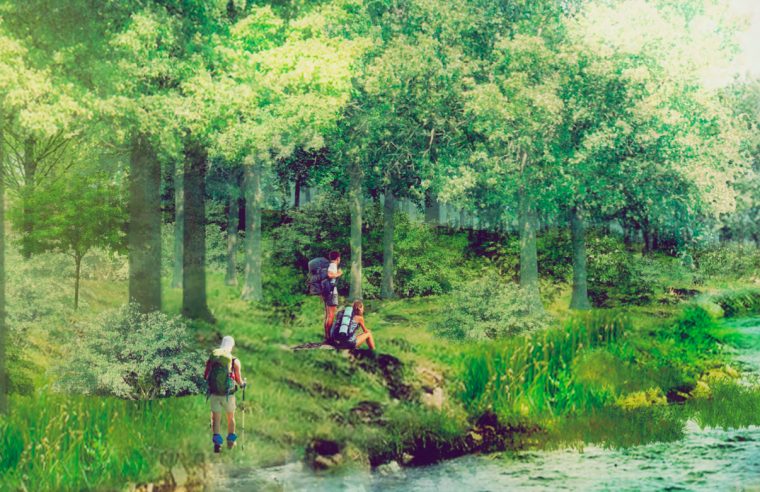 [江西]南昌城市生态湖泊公园景观设计方案-丘陵森林廊道效果图