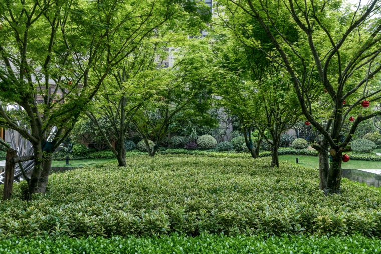 上海大宁金茂府住宅景观实景图5 上海大宁金茂府住宅景观实景图5