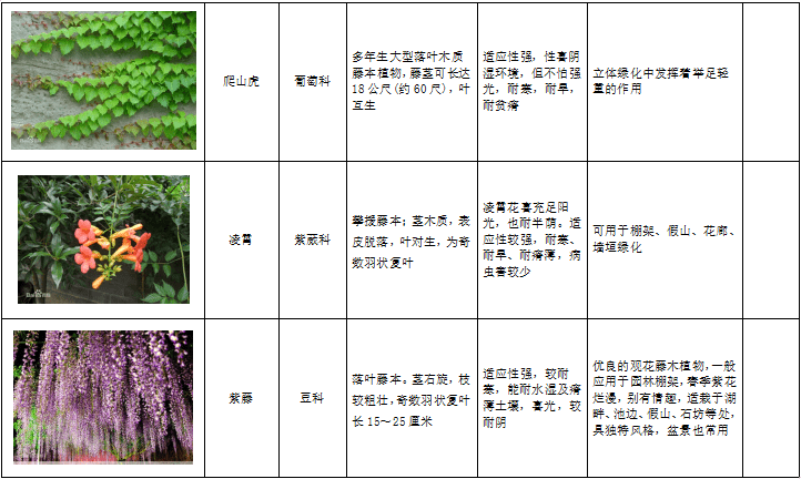 西北地区绿化植物分类图表-1