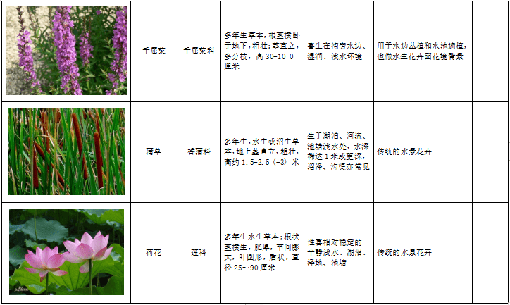 西北地区绿化植物分类图表-2