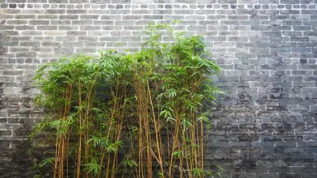 乡村景观的细节设计_29 乡村景观的细节设计_29