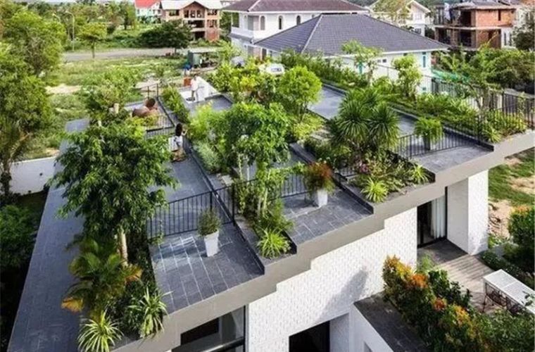 景观绿化知多少?_31 景观绿化知多少?_31