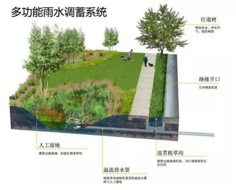 海绵城市的发展趋势及应用-多功能雨水调蓄系统