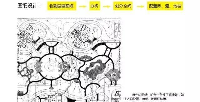 植物绿化空间设计营造手法_17 植物绿化空间设计营造手法_17